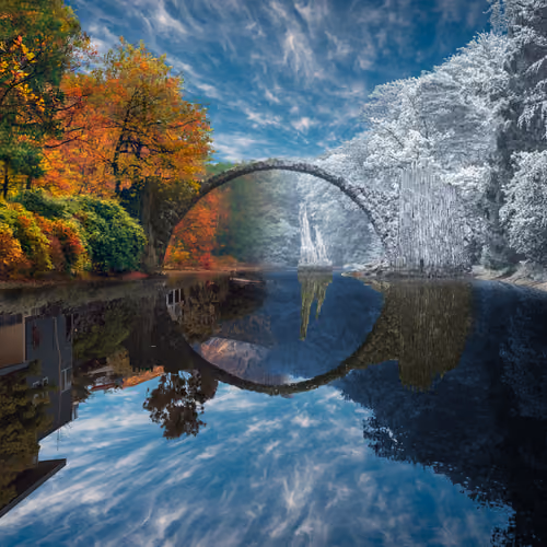 Reflection #352