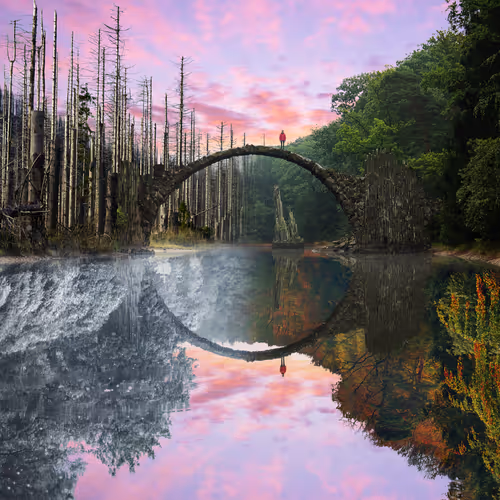 Reflection #309