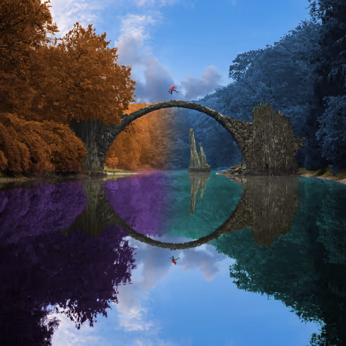 Reflection #56