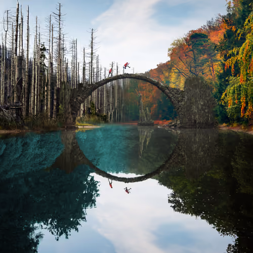 Reflection #547