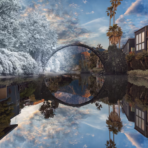 Reflection #379