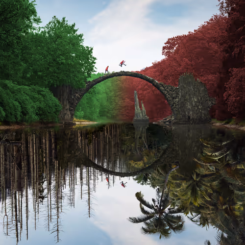 Reflection #1047