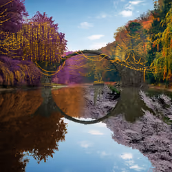 Reflection #51