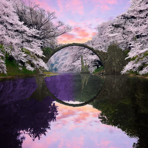 Reflection #132