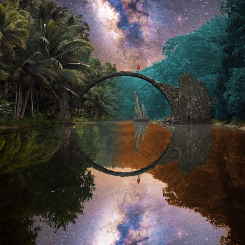 Reflection #589