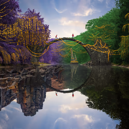 Dreamlab Reflections