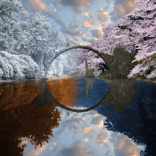 Reflection #1056