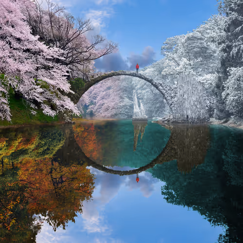 Dreamlab Reflections
