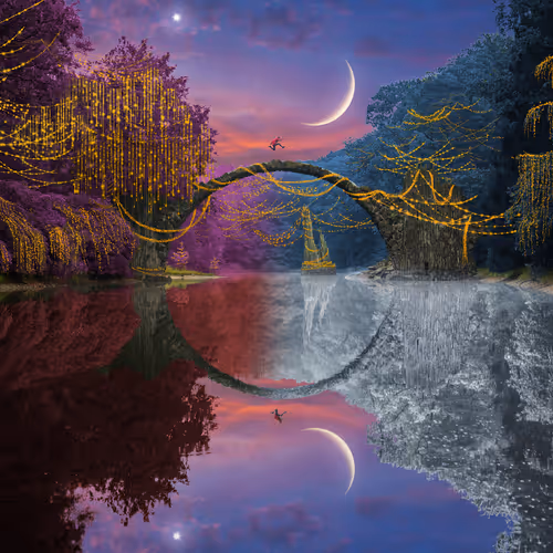 Dreamlab Reflections