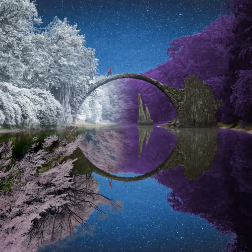 Reflection #1045
