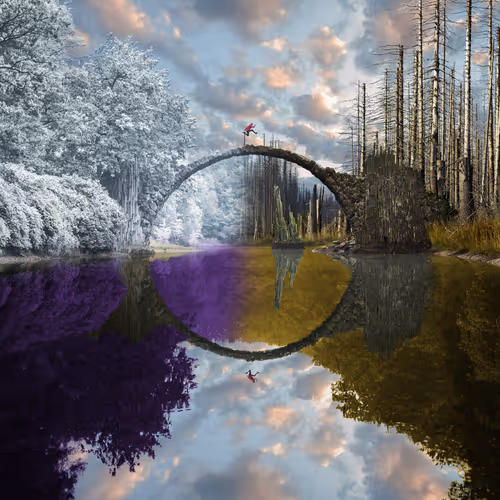 Reflection #1084