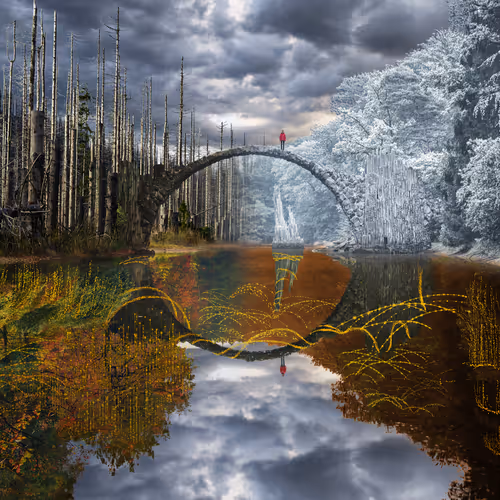 Dreamlab Reflections