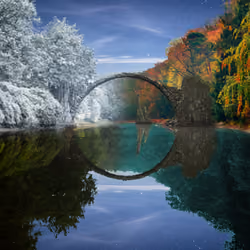 Reflection #722