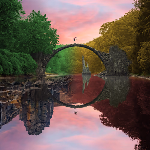 Reflection #278
