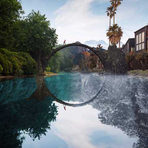 Reflection #338