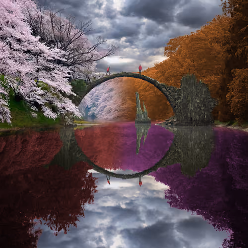 Reflection #258