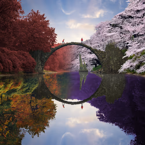 Dreamlab Reflections
