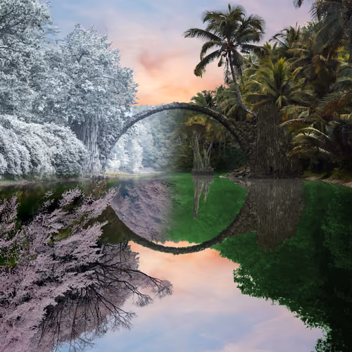 Reflection #884