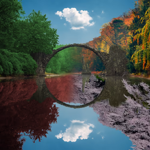 Reflection #219