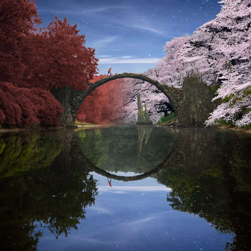 Dreamlab Reflections