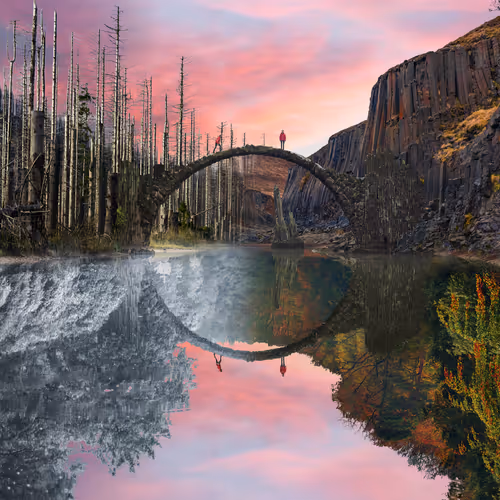 Reflection #92