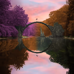 Reflection #546