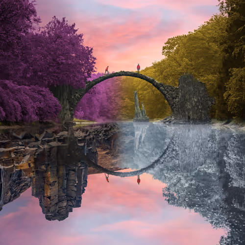 Reflection #1032
