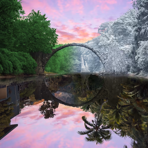 Reflection #480