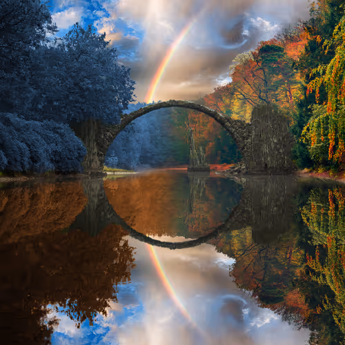 Dreamlab Reflections