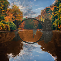 Reflection #337
