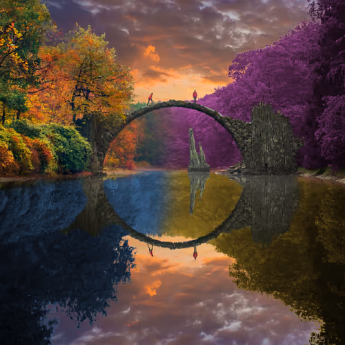 Reflection #558