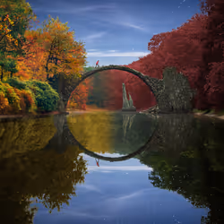 Reflection #384