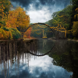 Reflection #869