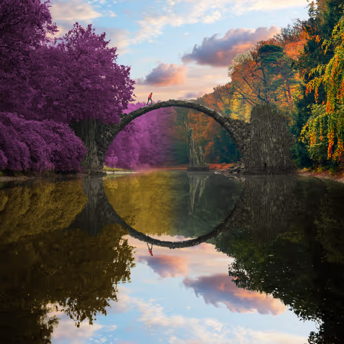 Dreamlab Reflections