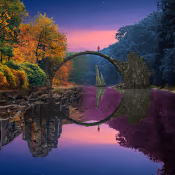 Reflection #842