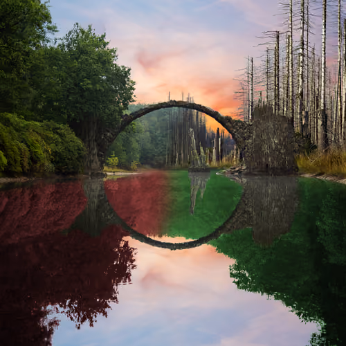 Reflection #846