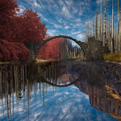 Reflection #800