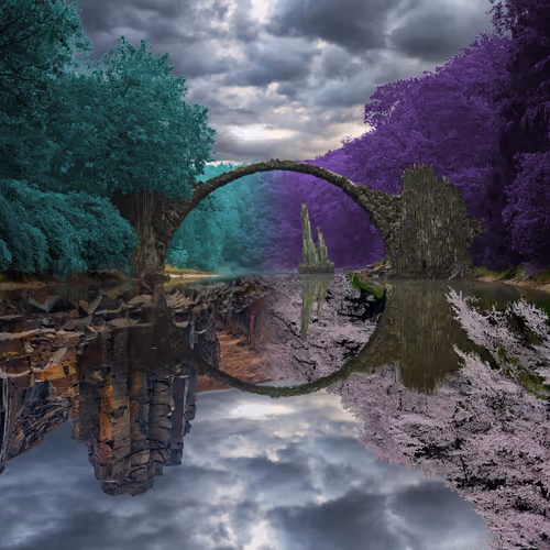 Reflection #159