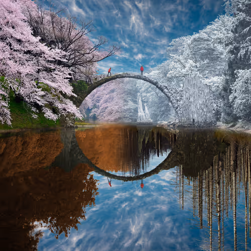 Dreamlab Reflections