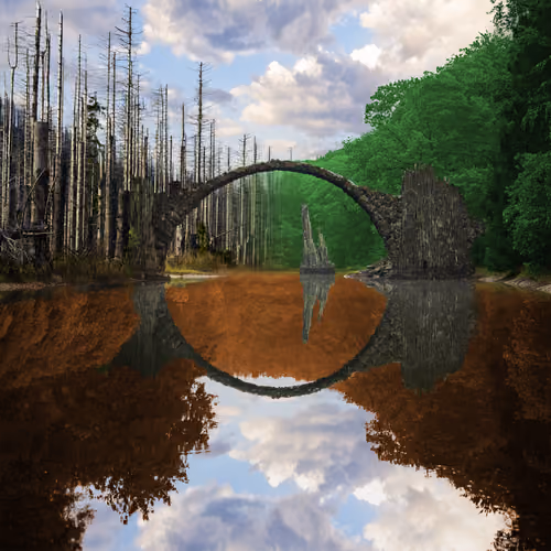 Reflection #383