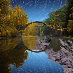Reflection #874