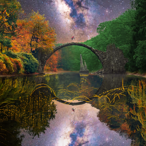 Dreamlab Reflections