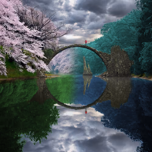 Reflection #964