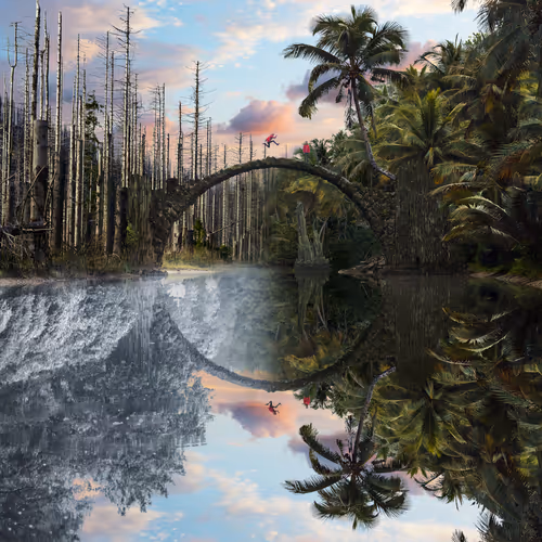 Dreamlab Reflections