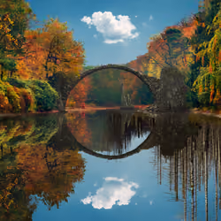 Reflection #851