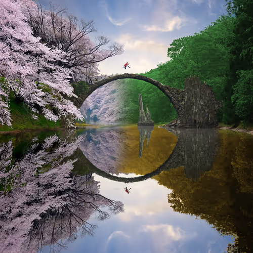Reflection #617