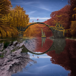 Reflection #523