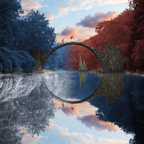 Reflection #393