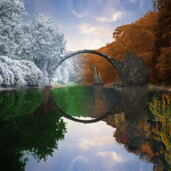 Reflection #950