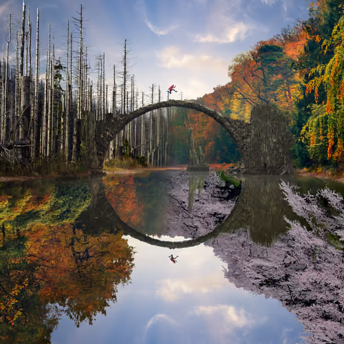 Reflection #963